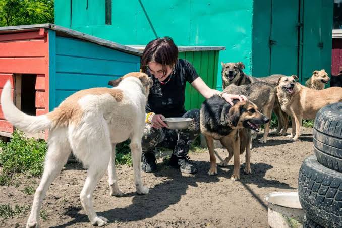 Cão fotografado na história de Neguinho