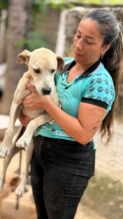Cão fotografado na história de Thor